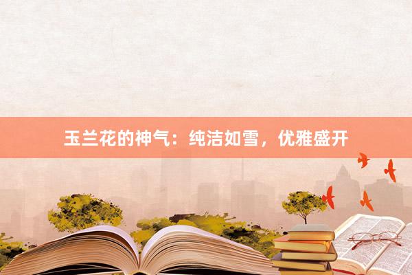 玉兰花的神气：纯洁如雪，优雅盛开