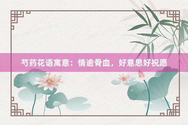 芍药花语寓意：情逾骨血，好意思好祝愿