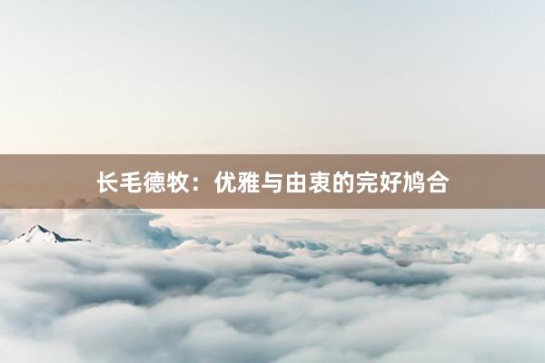 长毛德牧：优雅与由衷的完好鸠合