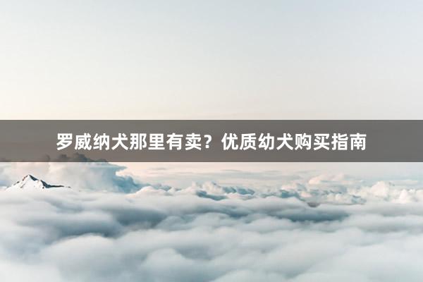 罗威纳犬那里有卖？优质幼犬购买指南