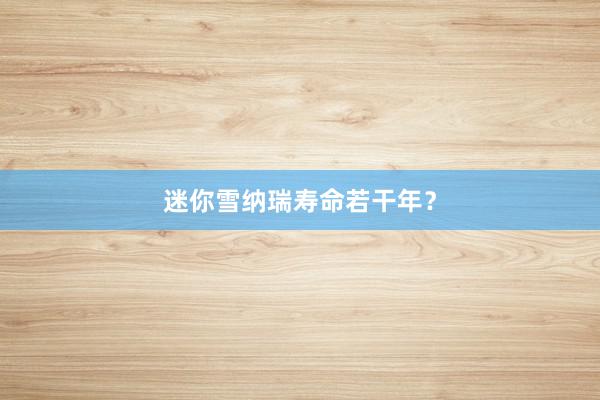 迷你雪纳瑞寿命若干年？