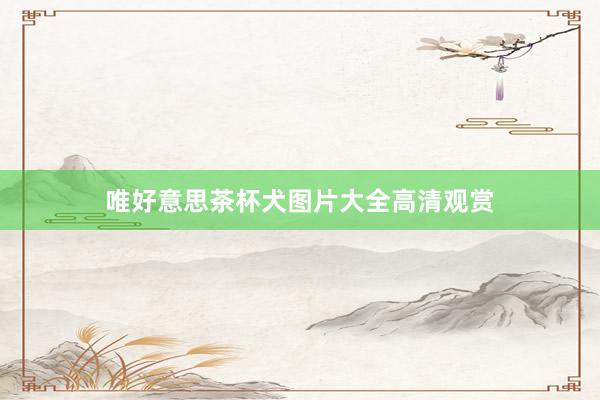 唯好意思茶杯犬图片大全高清观赏
