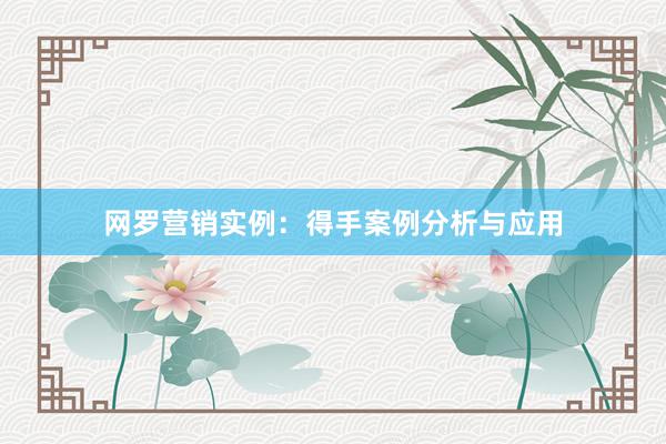 网罗营销实例：得手案例分析与应用