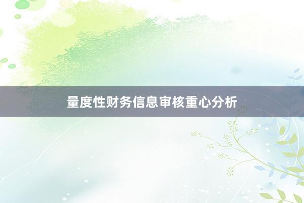 量度性财务信息审核重心分析