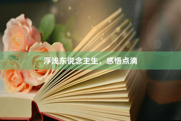 浮浅东说念主生,感悟点滴